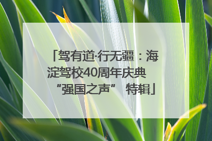 驾有道·行无疆：海淀驾校40周年庆典 “强国之声” 特辑