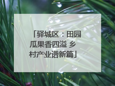 驿城区：田园瓜果香四溢 乡村产业谱新篇