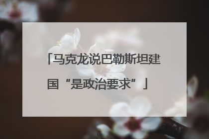 马克龙说巴勒斯坦建国“是政治要求”
