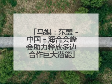 马媒：东盟－中国－海合会峰会助力释放多边合作巨大潜能