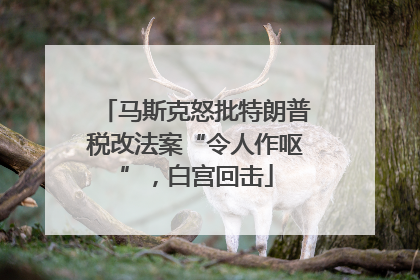 马斯克怒批特朗普税改法案“令人作呕”，白宫回击