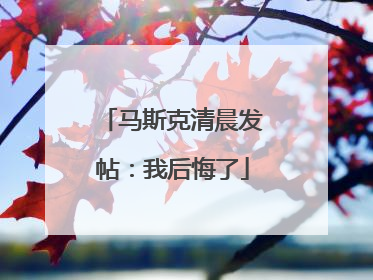 马斯克清晨发帖：我后悔了
