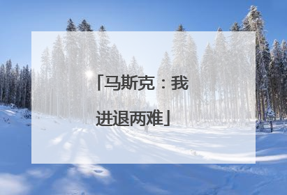 马斯克：我进退两难