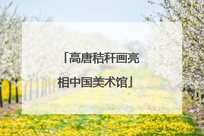 高唐秸秆画亮相中国美术馆