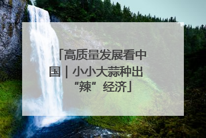 高质量发展看中国｜小小大蒜种出“辣”经济