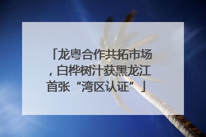 龙粤合作共拓市场，白桦树汁获黑龙江首张“湾区认证”