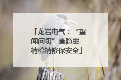 龙岩电气：“望闻问切”查隐患 精检精修保安全