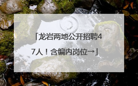 龙岩两地公开招聘47人！含编内岗位→