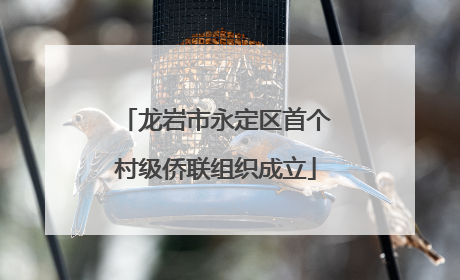 龙岩市永定区首个村级侨联组织成立