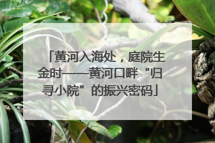 黄河入海处，庭院生金时——黄河口畔“归寻小院”的振兴密码