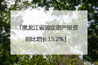 黑龙江省固定资产投资同比增长15.2%