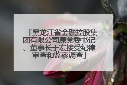 黑龙江省金融控股集团有限公司原党委书记、董事长于宏接受纪律审查和监察调查