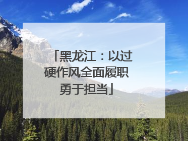 黑龙江：以过硬作风全面履职勇于担当