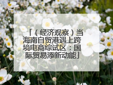 （经济观察）当海南自贸港遇上跨境电商综试区：国际贸易添新动能