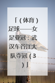 （体育）足球——女足亚冠：武汉车谷江大队夺冠（3）