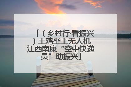 （乡村行·看振兴）土鸡坐上无人机 江西南康“空中快递员”助振兴