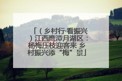 （乡村行·看振兴）江西鹰潭月湖区：杨梅压枝迎客来 乡村振兴添“梅”景