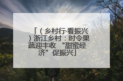 （乡村行·看振兴）浙江乡村：时令果蔬迎丰收 “甜蜜经济”促振兴