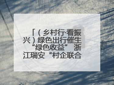 （乡村行·看振兴）绿色出行催生“绿色收益” 浙江瑞安“村企联合体”促共富