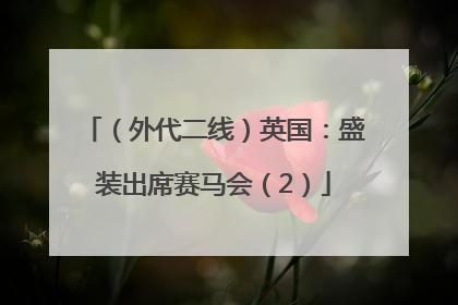 （外代二线）英国：盛装出席赛马会（2）
