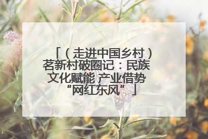 （走进中国乡村）茗新村破圈记：民族文化赋能 产业借势 “网红东风”