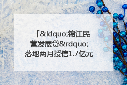 “锦江民营发展贷”落地两月授信1.7亿元，惠及118家民企