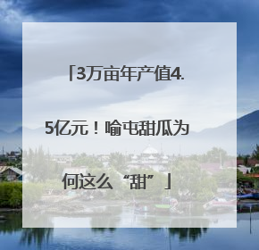 3万亩年产值4.5亿元！喻屯甜瓜为何这么“甜”