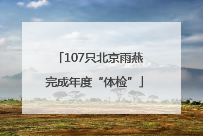 107只北京雨燕完成年度“体检”