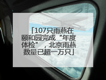 107只雨燕在颐和园完成“年度体检”，北京雨燕数量已超一万只