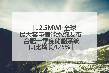 12.5MWh全球最大容量储能系统发布 合肥一季度储能系统同比增长425%