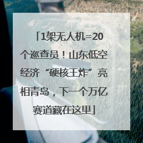 1架无人机=20个巡查员！山东低空经济“硬核王炸”亮相青岛，下一个万亿赛道藏在这里