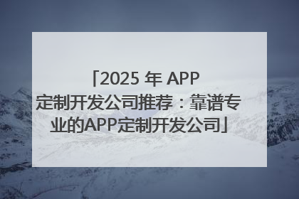 2025 年 APP 定制开发公司推荐：靠谱专业的APP定制开发公司
