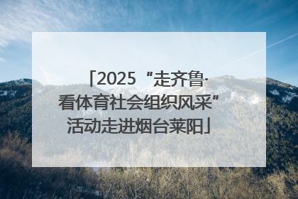 2025“走齐鲁·看体育社会组织风采”活动走进烟台莱阳