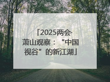 2025两会·萧山观察：“中国视谷”的新江湖