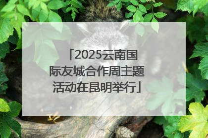 2025云南国际友城合作周主题活动在昆明举行