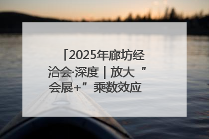 2025年廊坊经洽会·深度｜放大“会展+”乘数效应 打造消费新场景