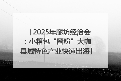 2025年廊坊经洽会：小箱包“圈粉”大咖 县域特色产业快速出海