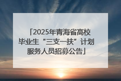2025年青海省高校毕业生“三支一扶”计划服务人员招募公告