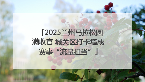 2025兰州马拉松圆满收官 城关区打卡墙成赛事“流量担当”