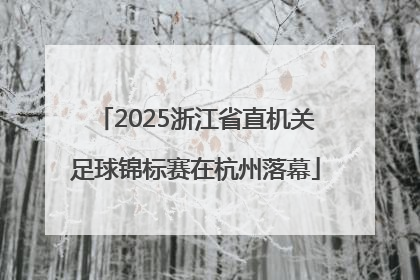2025浙江省直机关足球锦标赛在杭州落幕