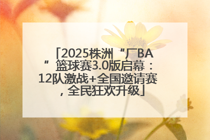 2025株洲“厂BA”篮球赛3.0版启幕：12队激战+全国邀请赛，全民狂欢升级