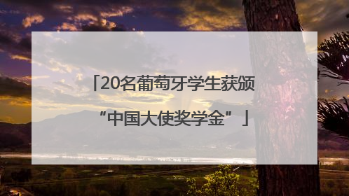 20名葡萄牙学生获颁“中国大使奖学金”