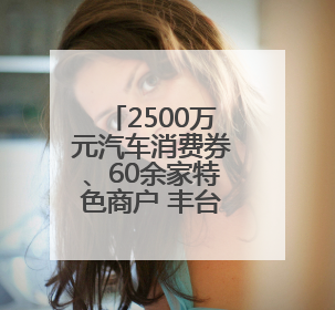 2500万元汽车消费券、60余家特色商户 丰台科技园“AI丰台 更京彩”未来玩家市集活动正式开幕