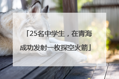 25名中学生，在青海成功发射一枚探空火箭