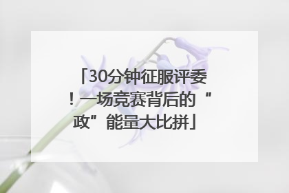 30分钟征服评委！一场竞赛背后的“政”能量大比拼