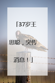 37岁王思聪，突传消息！