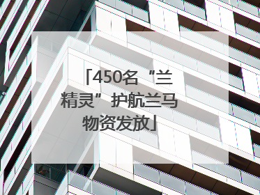 450名“兰精灵”护航兰马物资发放