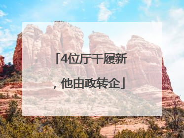 4位厅干履新，他由政转企