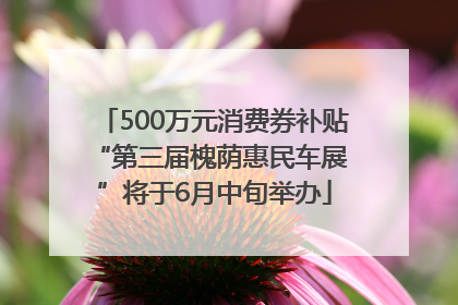 500万元消费券补贴 “第三届槐荫惠民车展”将于6月中旬举办