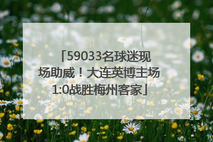 59033名球迷现场助威！大连英博主场1:0战胜梅州客家